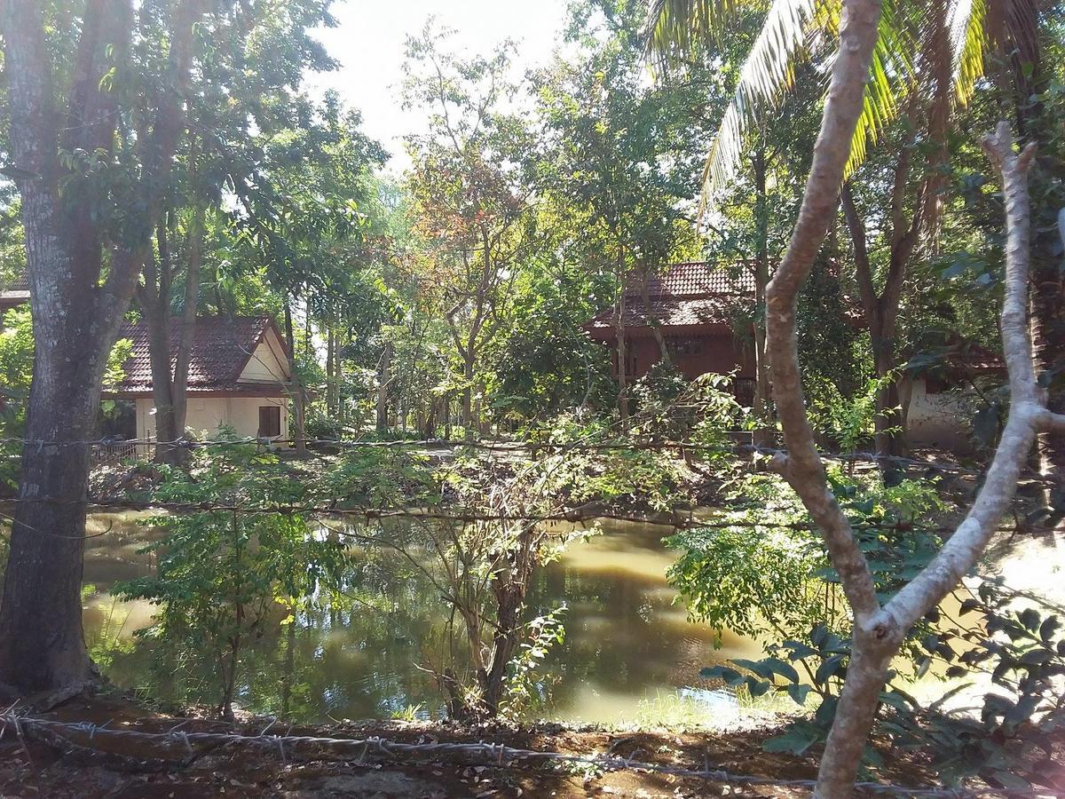 Ban Muang Pha Your Home In Mae Rim מראה חיצוני תמונה