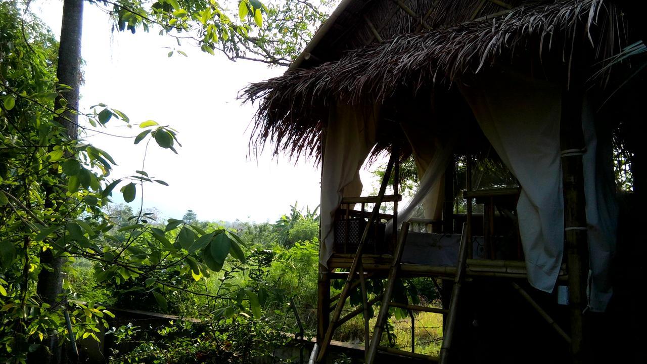 Ban Muang Pha Your Home In Mae Rim מראה חיצוני תמונה