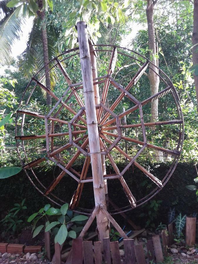 Ban Muang Pha Your Home In Mae Rim מראה חיצוני תמונה